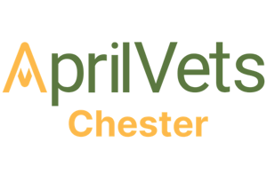 Logo AV Chester